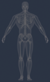 GFX_GUI_WEARVIEW_BG2